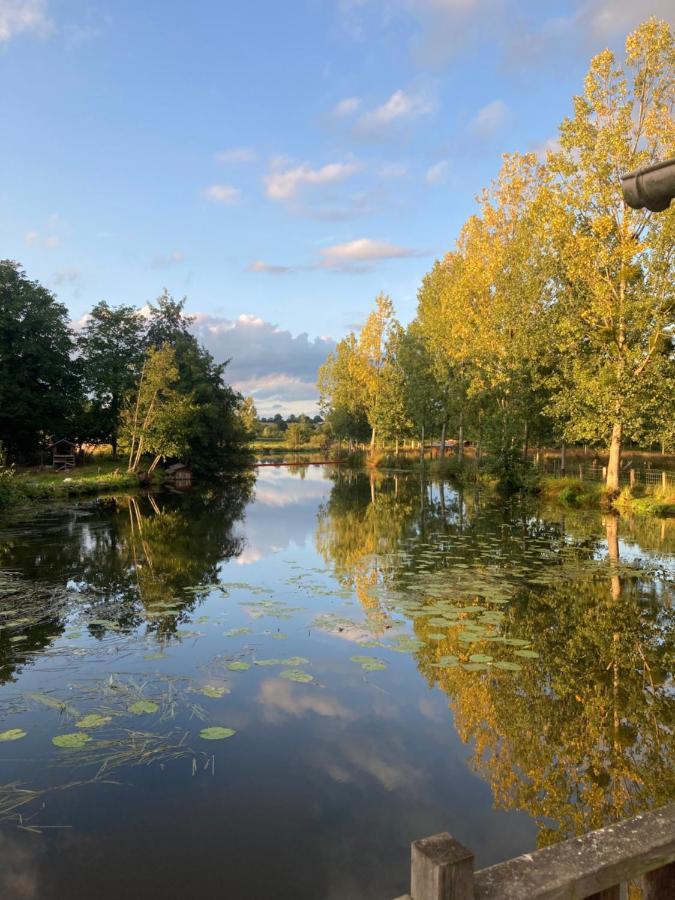 Le Moulin De Bretigneul Bed & Breakfast Saint-Aubin-des-Landes Ngoại thất bức ảnh