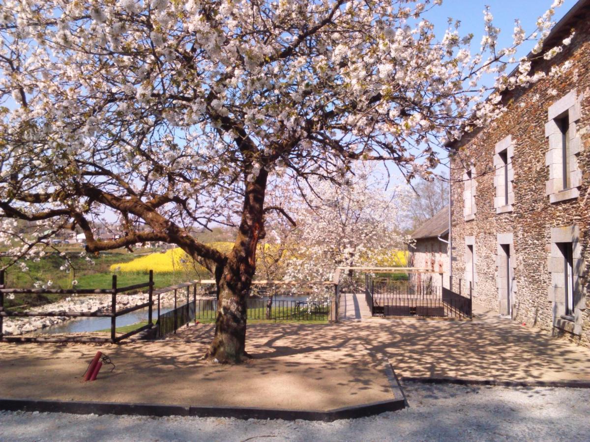 Le Moulin De Bretigneul Bed & Breakfast Saint-Aubin-des-Landes Ngoại thất bức ảnh